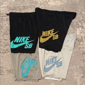 Nike SB Shorts